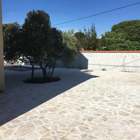 Pia * Tribalj